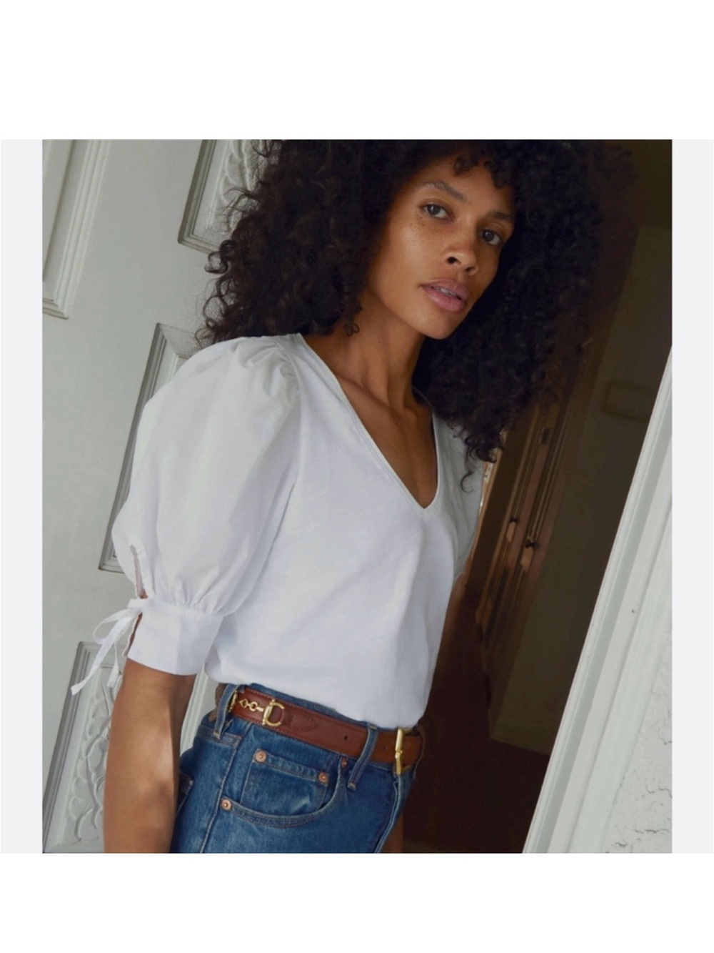 Nation ltd Anthropologie Classic V-Neck Puff Sleeve Top arm ties indie poplin co